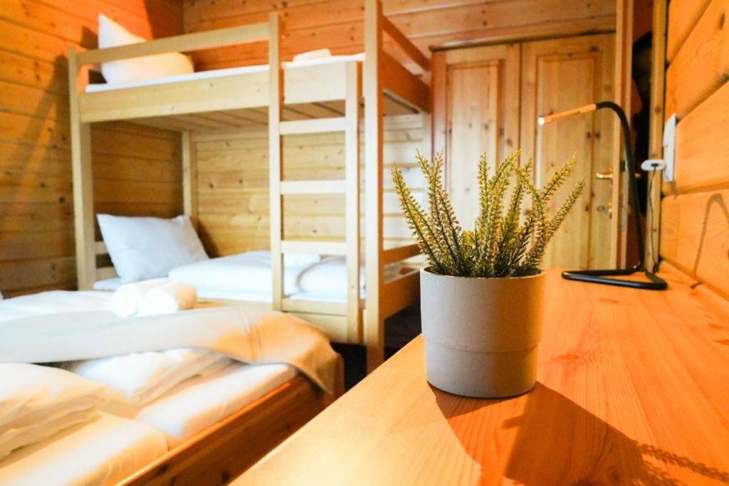 Edelweiss Lodge Lachtal I Self Check-In Eksteriør billede